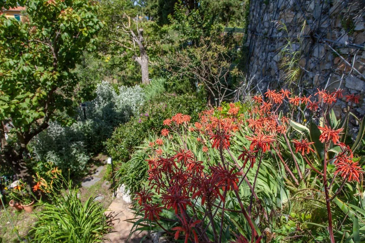 Pietrantica - Affittacamere con giardino NUOVA APERTURA a Trebiano -CITR 0*,  Italia