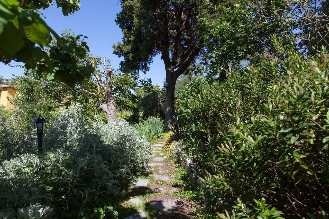Pietrantica - Affittacamere con giardino NUOVA APERTURA a Trebiano -CITR